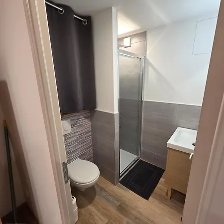 Le Sebastopol- Cosy En Centre De Апартаменты Бриуд