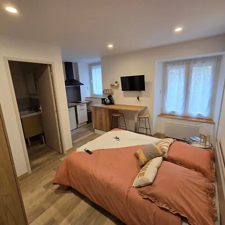 Le Sebastopol- Cosy En Centre De * Бриуд