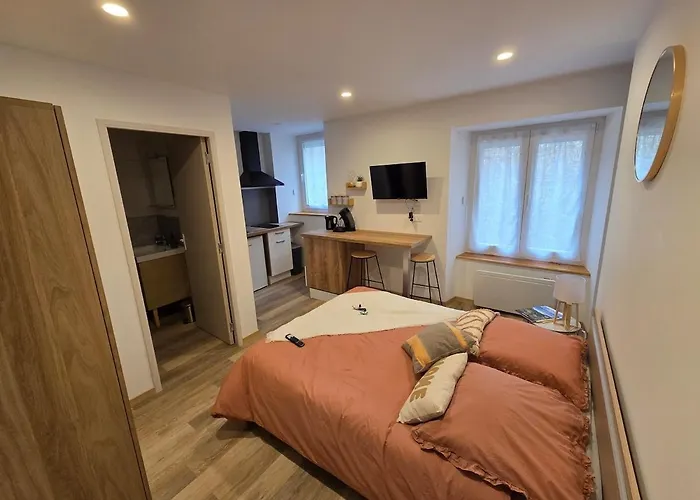 Le Sebastopol- Cosy En Centre De * Brioude